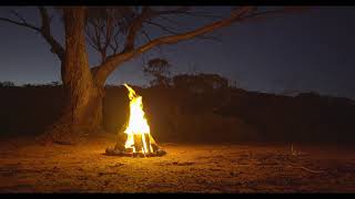 Campfire sounds in the Australian wilderness | 1 hour 4k real-time | sounds for sleeping