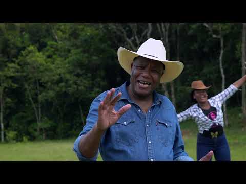 Nestor de Almeida, Músicas, palestras e dicas.