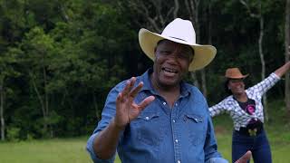 Nestor de Almeida, Músicas, palestras e dicas.