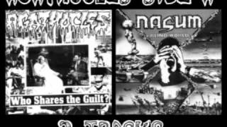 Agathocles and Nasum split 7inch Side A