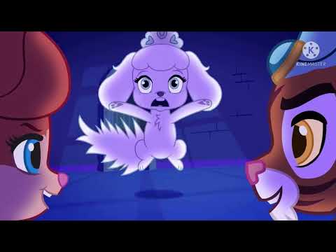 The AristoDogs Trailer