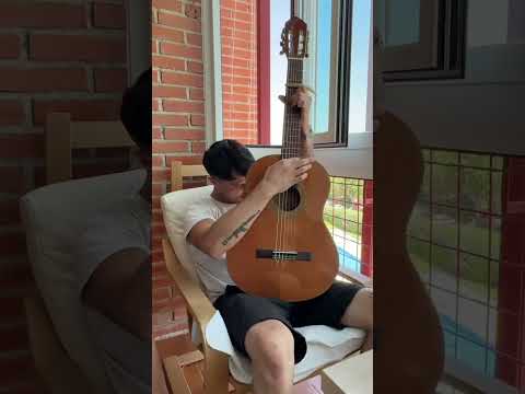 RAZZ GALGOS - SEVILLANAS MALANDRAS #musica #bolero #corridos #guitar