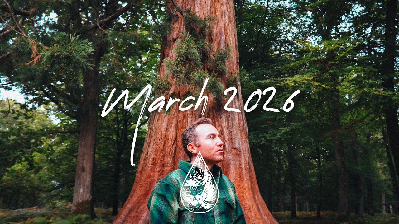 Indie/Rock/Alternative Compilation • March 2026 🌳 (new indie discoveries | 2-hour playlist)