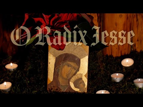 第三首 谢主曲对经 叶瑟之根 – Elija Mission