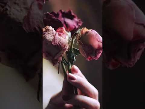 noor e azal Noor e khuda#like #subscribe #share