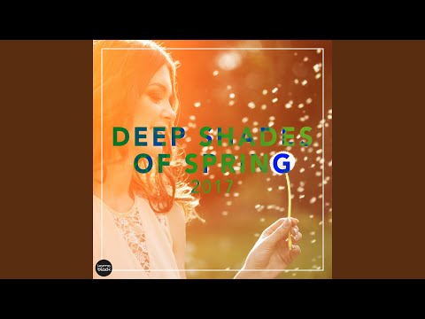 The Cube (feat. Idil Mese) (Acid Pauli's Papito Remix)