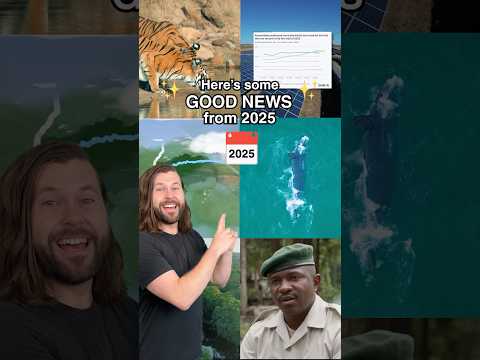Good News from 2025 you might have missed!