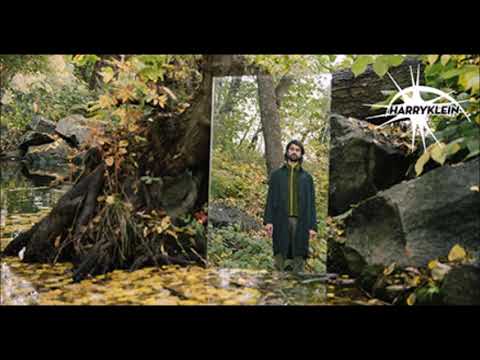 Jeremy Olander - Harry Klein ID