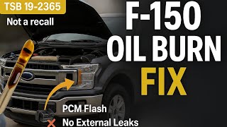 F-150 5.0 Burning Oil? Ford Explains Why & The Oil Burn Fix