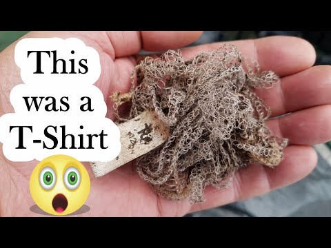 Composting Clothes with Worms Weeks 16 to 28