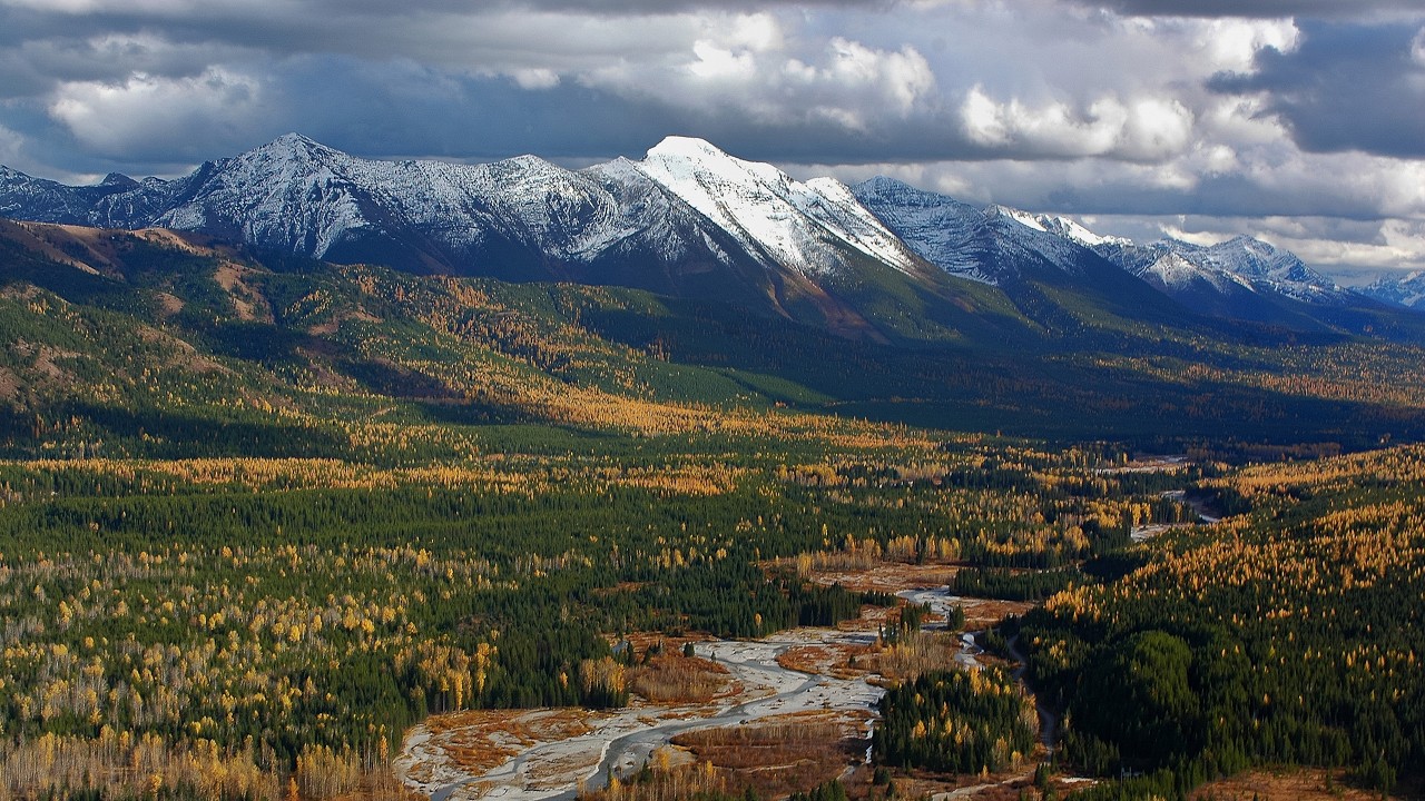 Nature Positive: restoring Earth system stability | Frontiers in Science