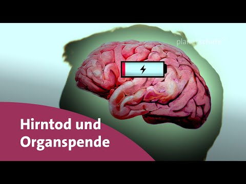 What is brain death? - Question meets answer | planet school