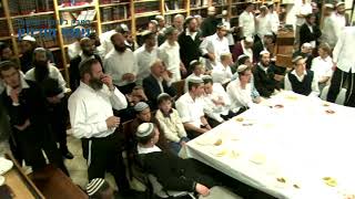 עו"ד דוד זעירא | מלוה מלכה בישיבת "בית צבי" בבית אל - 03 ריקוד לרבינו ה"דברי ישראל"