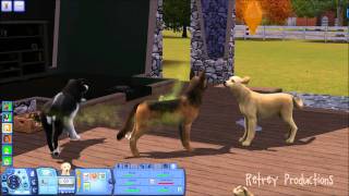 [HOW-TO] Breed Dogs & Cats on Sims 3!