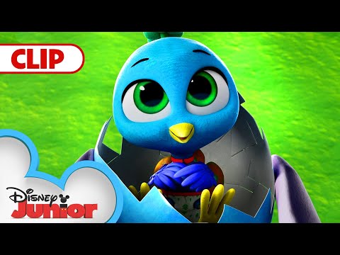 Find The Easter Egg 🐣 | T.O.T.S. | @disneyjr ​