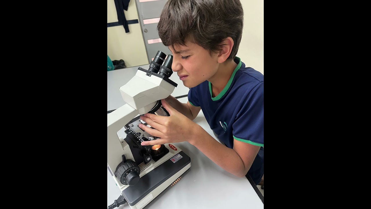 LAB PLANTS - 7th grade