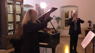 emozionante-concerto-del-trio-nechita-ad-ariano