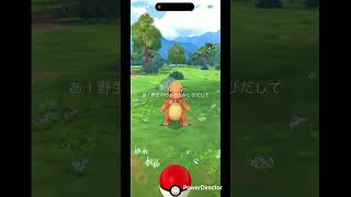 ヒトカゲ大 #pokemongo #pokemon #ポケgo #ポケモンgo #ポケモン