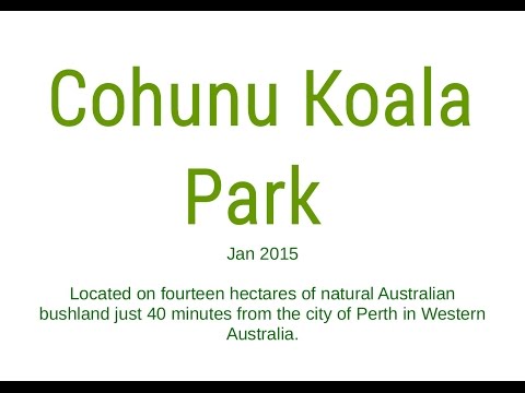 Cohunu Koala Park, Jan 2016
