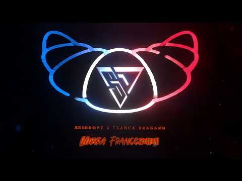 SkiDropz x Tzanca Uraganu - Vorba Francezului