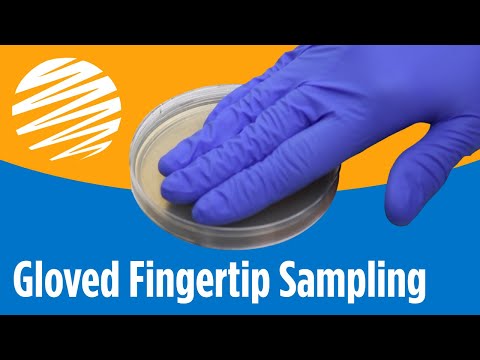 Gloved Fingertip Sampling Using Agar Plates