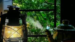 Download lagu Story wa ngeteh, ngeteh hangat, lampu jadul, vintage story wa syahdu, NO WATERMARK mp3 Download lagu Story wa ngeteh, ngeteh hangat, lampu jadul, vintage story wa syahdu, NO WATERMARK mp3