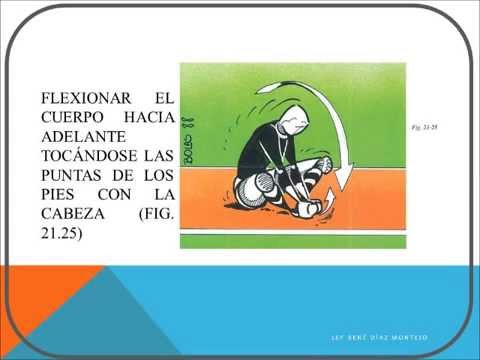 CALENTAMIENTO DE VOLEIBOL PARTE 3 ESTIRMAIENTO O ELONGACIÓN.