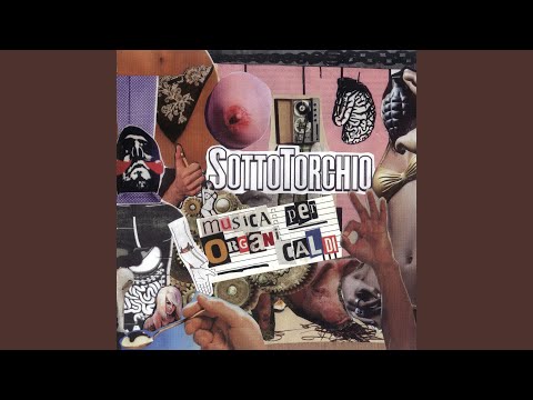 F#cksottotorchio
