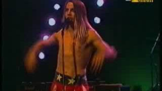 Red Hot Chili Peppers - Stranded live @ RockPalast 1985