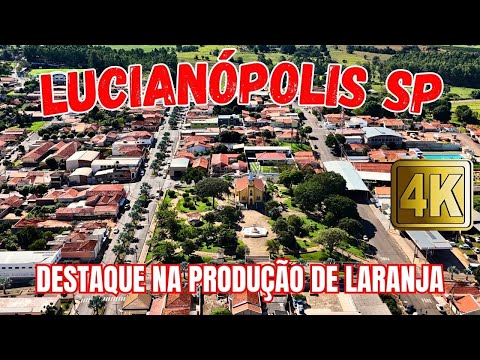 LUCIANÓPOLIS SP  -  DESTAQUE NA PRODUÇÃO DE LARANJA