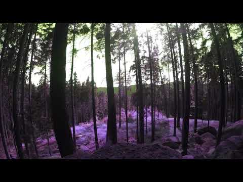 Forest Psytrance Mix - Psilostatic