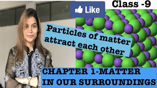Particles of matter attract each other.Class 9 Matter in our surroundings. PART 5