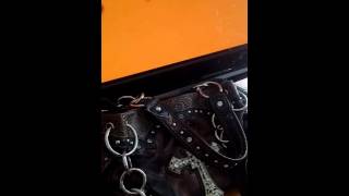 I always liked that best