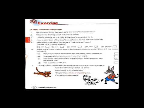 Curious Town Solutions