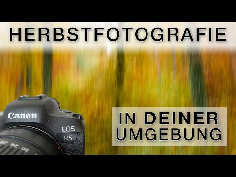 Fotoideen für stimmungsvolle Herbstbilder - Naturfotografie im Stadtwald