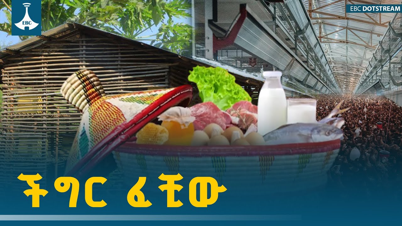 መስኖና ቆላማ አካባቢ ሚኒስቴር አለኝታ  ፕሮግራም | "ችግር ፈቺው"      ETV | EBC | EBCDOTSTREAM