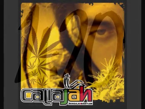 Caliajah -  Legalizacion