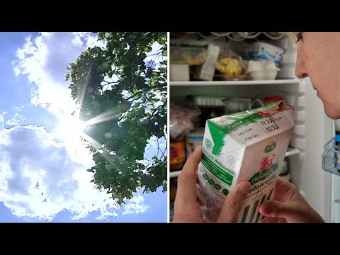 Så slipper du bakteriefesten under rötmånaden   | TV4 Nyheterna | TV4 & TV4 Play