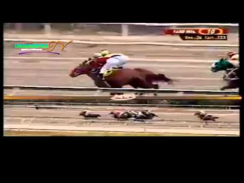 LA RINCONADA 10 CARRERA DOMINGO 30 DE MARZO DEL 2014