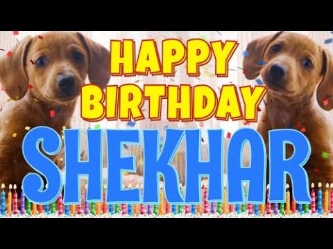 Happy Birthday Shekhar! ( Funny Talking Dogs ) What Is Free On My Birthday