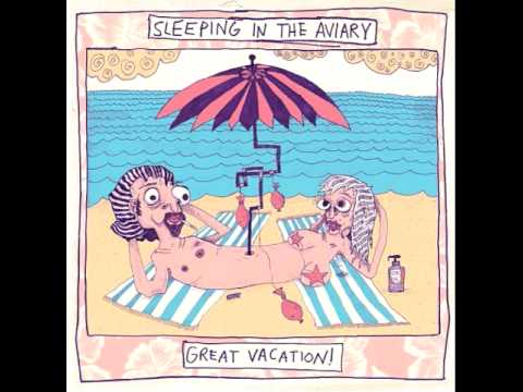 Sleeping In The Aviary - Start The Car