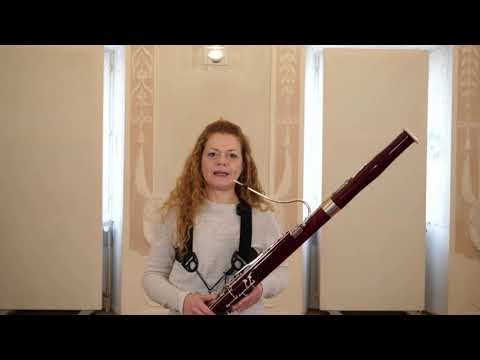 Das Fagott stellt sich vor