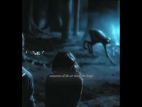 the way harry protected hermione 😭❤  #harrypotter #hermionegranger #prisonerofazkaban #edit #mercy