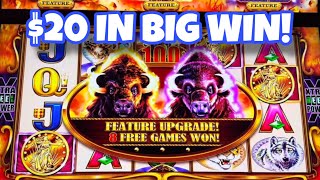 $20 IN & A BIG WIN On My Favorite Slot Buffalo Gold Cash Collection! #yaamava #casino #slots