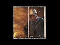 Mark Chesnutt - Who Will The Next Fool Be