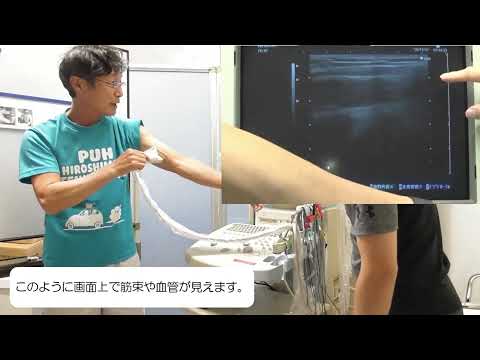 保健福祉学科 体力評価実習（健康科学コース）