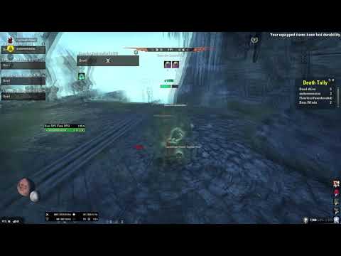 Zaan is taking us with her