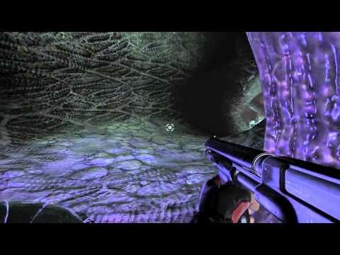 Duke Nukem Forever PC - The Hive: Part 2 [Level 8 - Part 1/1]