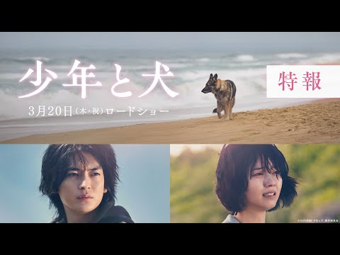Thumbnail for video: 映画『少年と犬』特報映像【2025年3月20日(木・祝)公開】