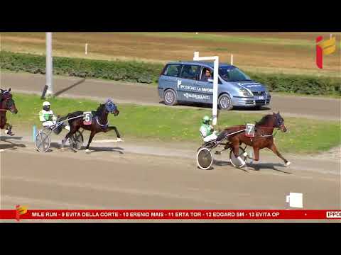 II corsa del 28 gennaio 2023 - 3 Anni - Metri 1600